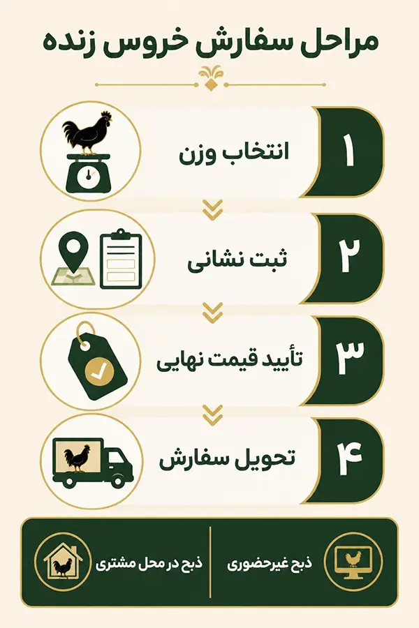 اینفوگرافیک مراحل سفارش خروس زنده سیاه شامل انتخاب وزن، ثبت نشانی، تأیید قیمت نهایی، تحویل سفارش و گزینه‌های ذبح در محل مشتری یا غیرحضوری