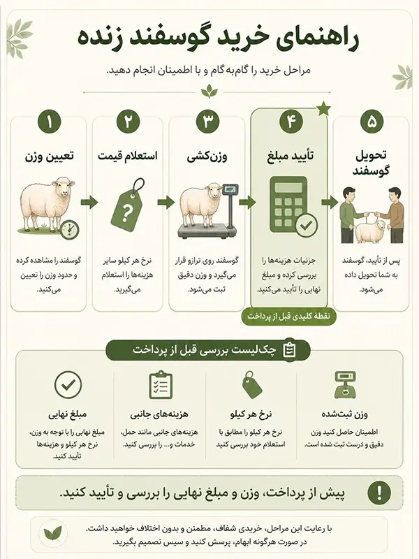 اینفوگرافیک مراحل خرید گوسفند زنده از تعیین وزن و استعلام قیمت تا وزن‌کشی، تأیید مبلغ و تحویل، همراه با نکات بررسی پیش از پرداخت.