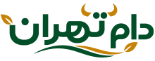 دام تهران